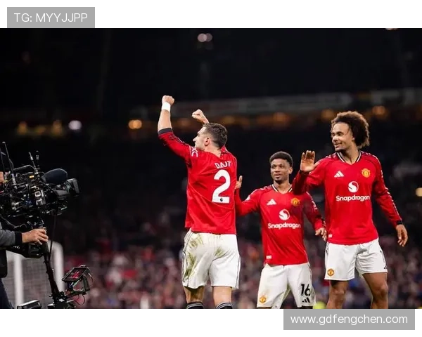 B费从乌迪内斯到曼联的生涯轨迹与角色演变分析