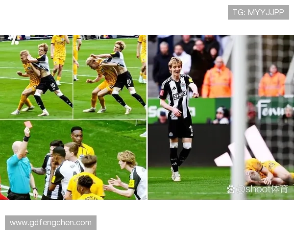 纽卡赛季后期状态波动问题显现，对关键阶段球队表现造成影响