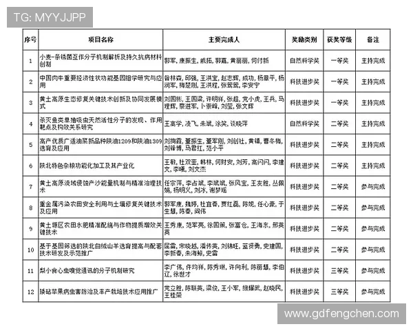 德布劳内个人奖项与团队荣誉匹配度分析